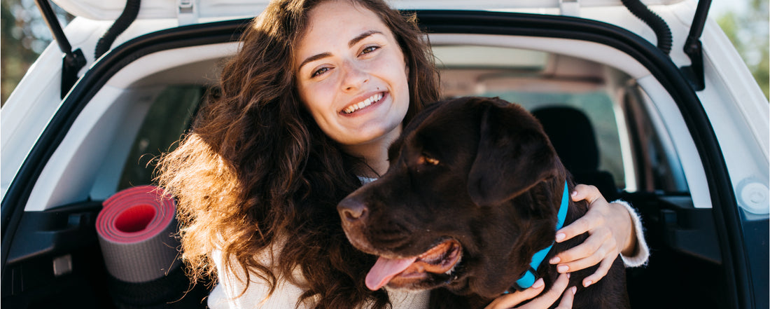 Safe Car Travel Considerations for Pets: A Guide for Australian Pet Owners