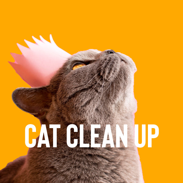 Cat Litter & Accessories