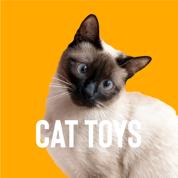 Cat Toys