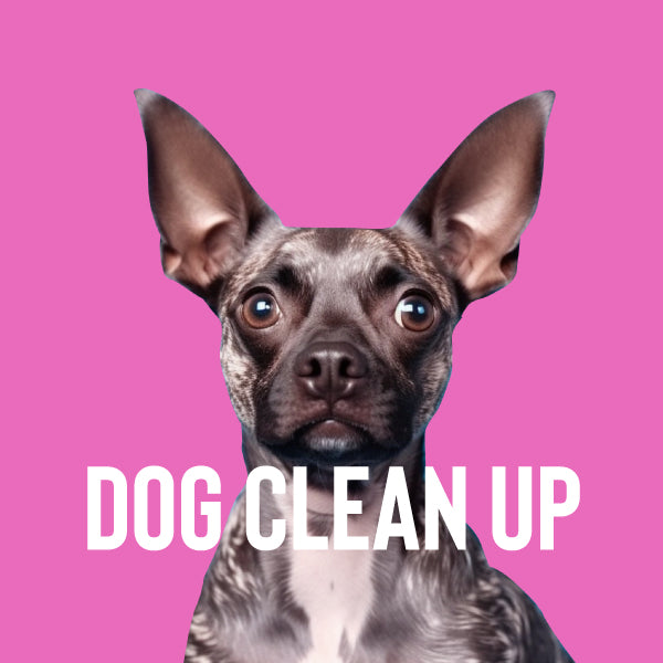 Dog Clean Up Supplies