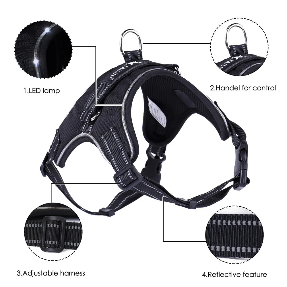 Adjustable Dog Harness with LED Lights