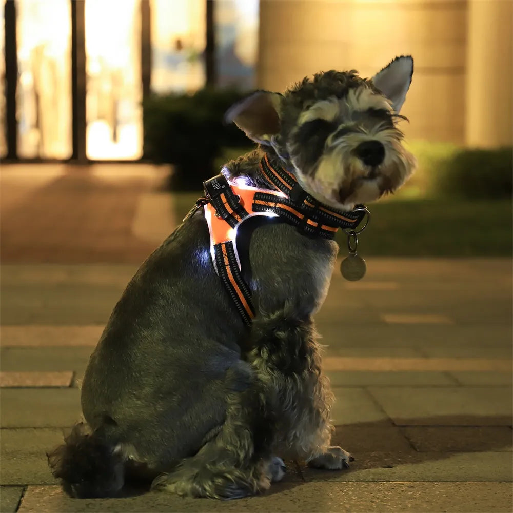 Adjustable Dog Harness with LED Lights