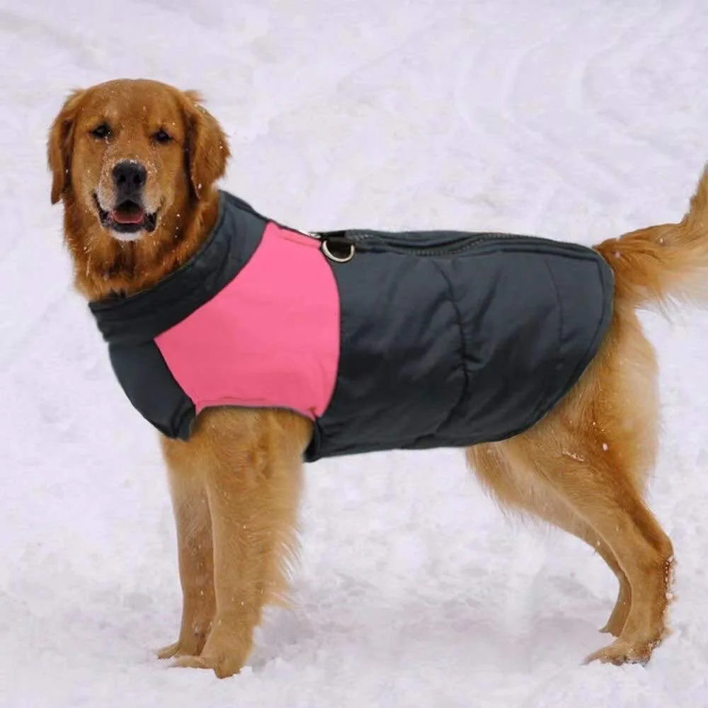 Winter Waterproof Dog Vest for Large Dogs