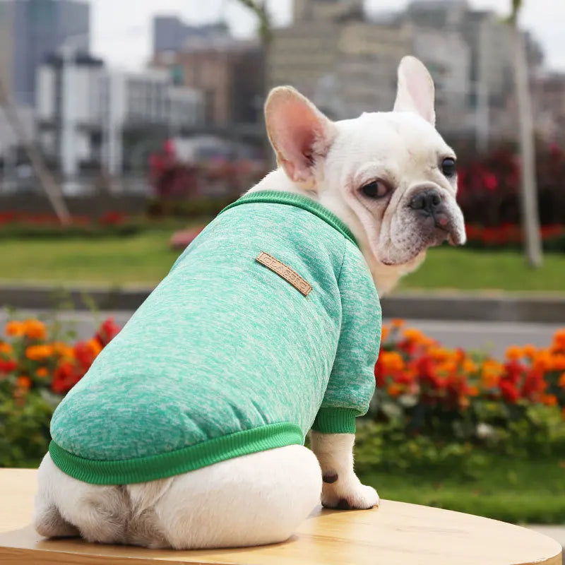 Spring Summer Dog Sweater