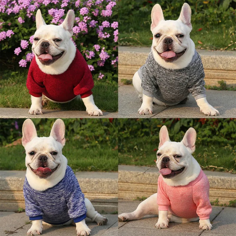 Spring Summer Dog Sweater