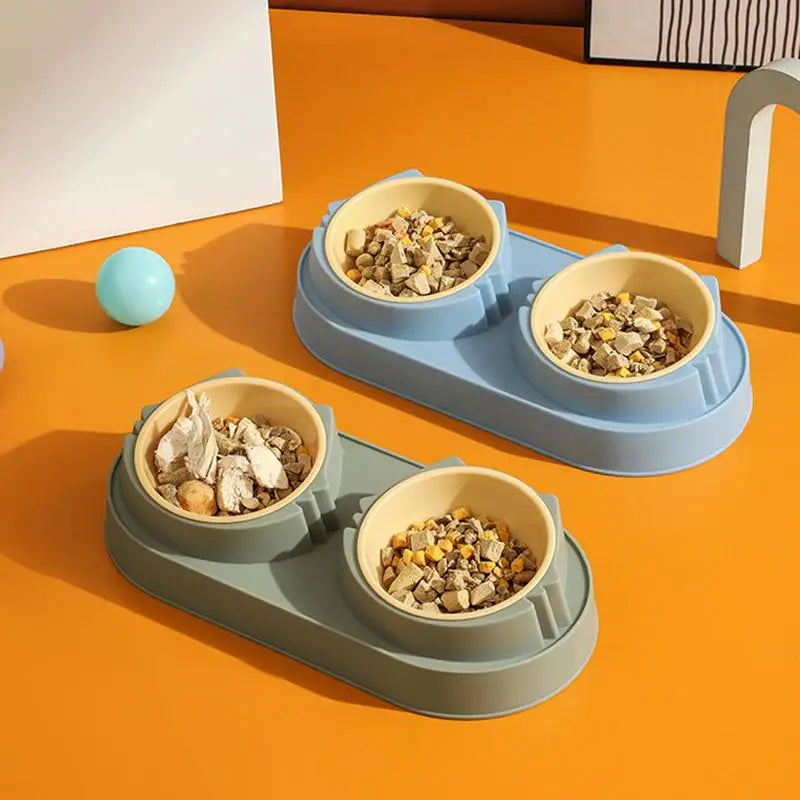 All-in-One Elevated Pet Bowl & Mess-Free Matt