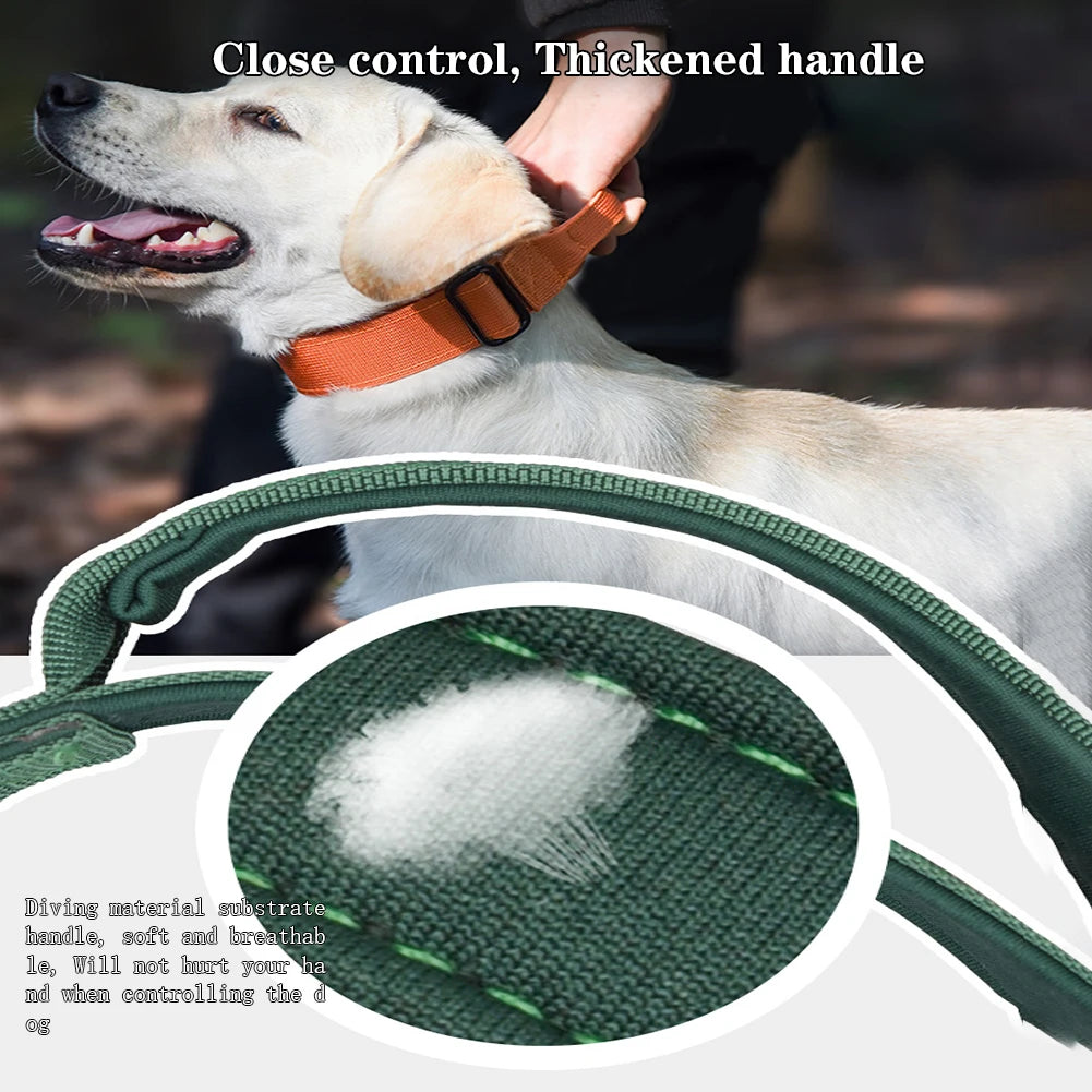 Adjustable Dog Collar