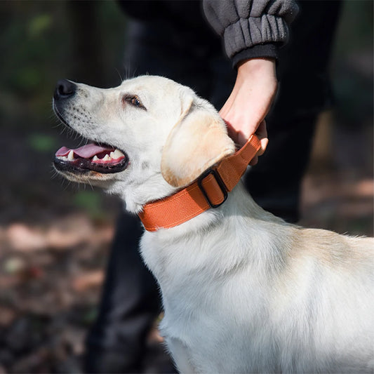 Adjustable Dog Collar