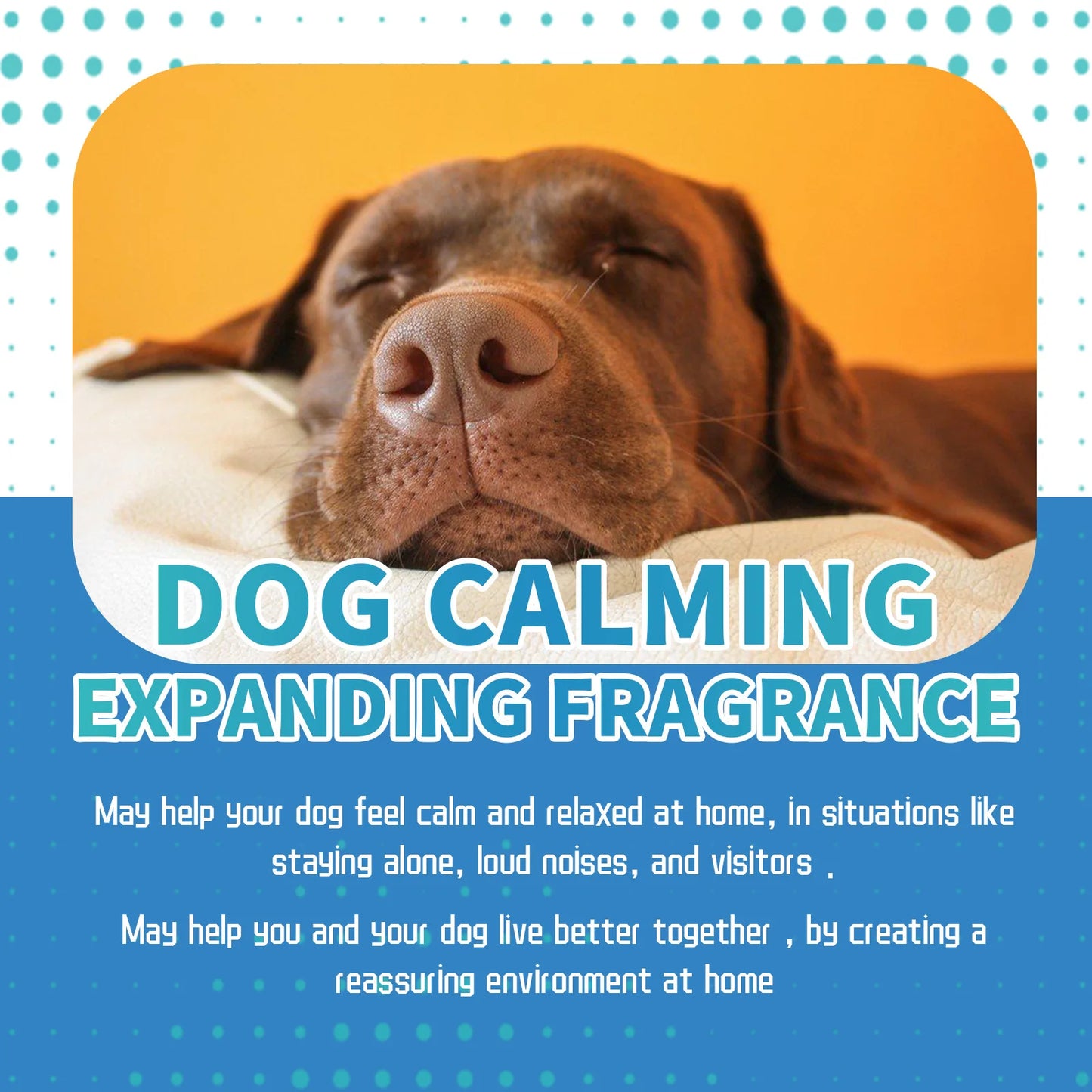 Dog Calming Anxiety Drops 48ml