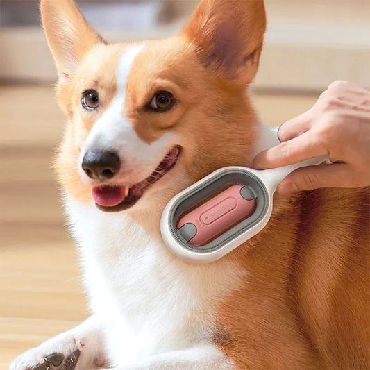 2-in-1 Pet Comb & Massager Brush