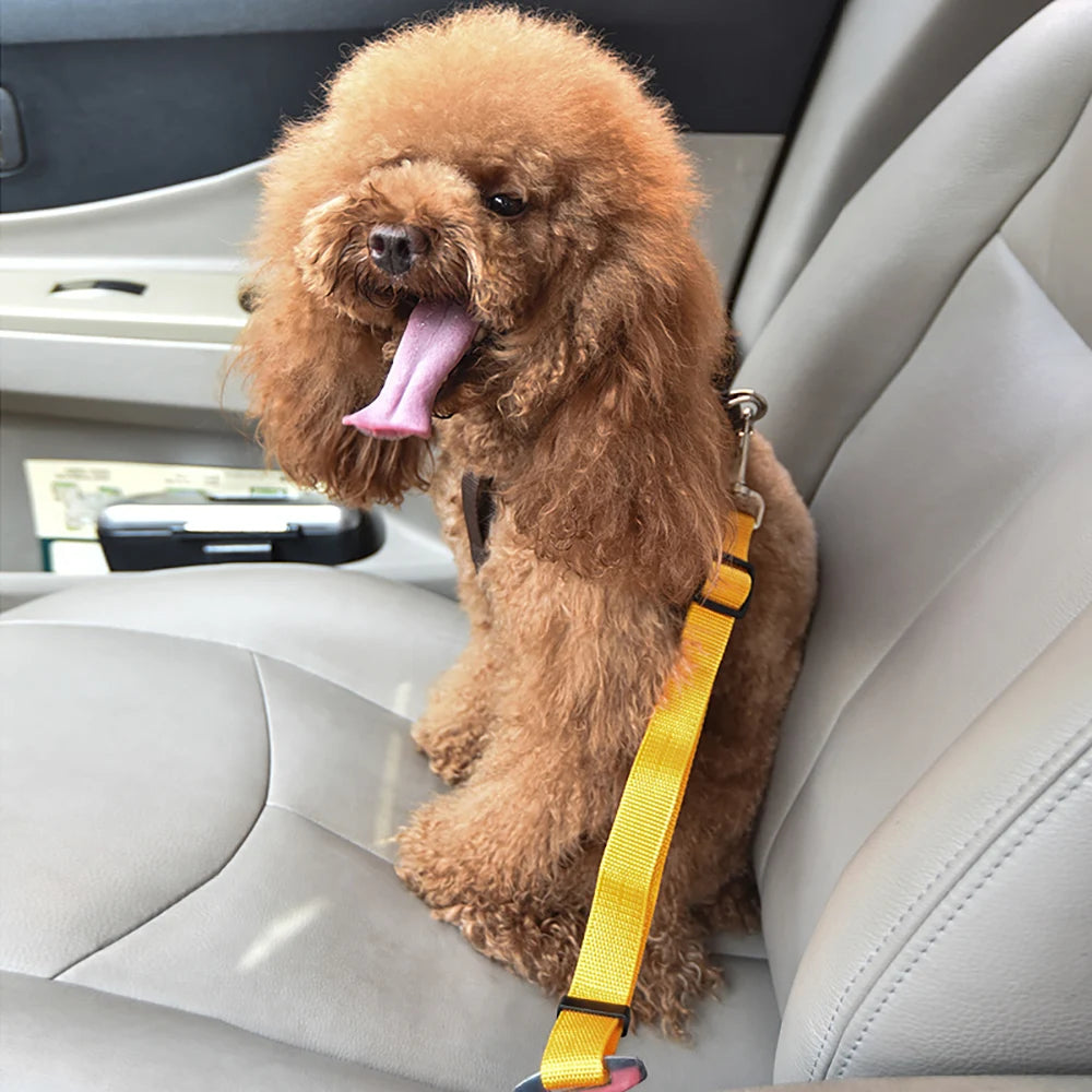 Adjustable Pet Car Seatbelt