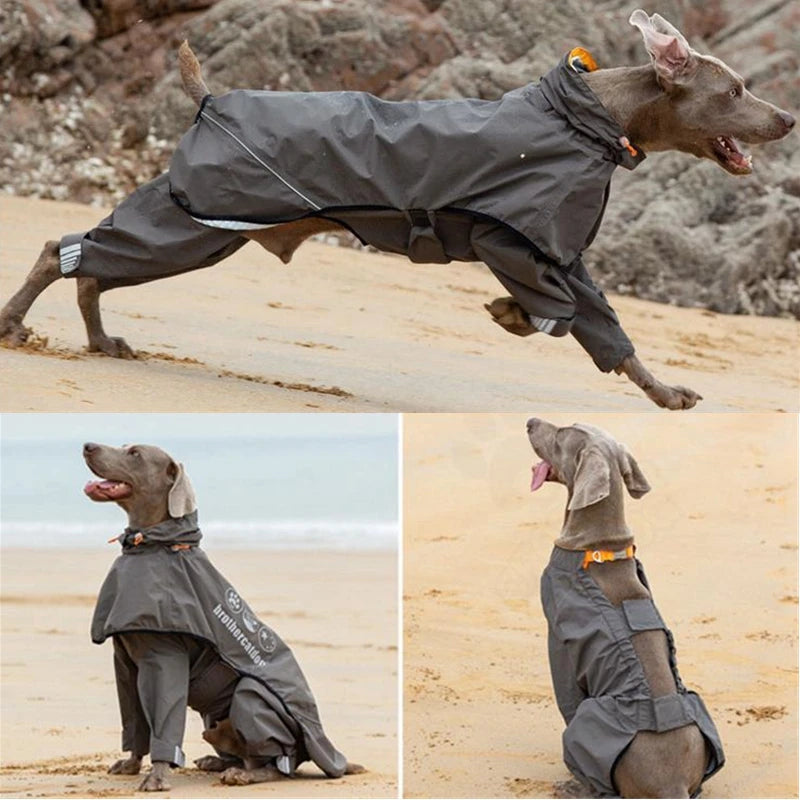 Waterproof Dog Raincoat Jumpsuit