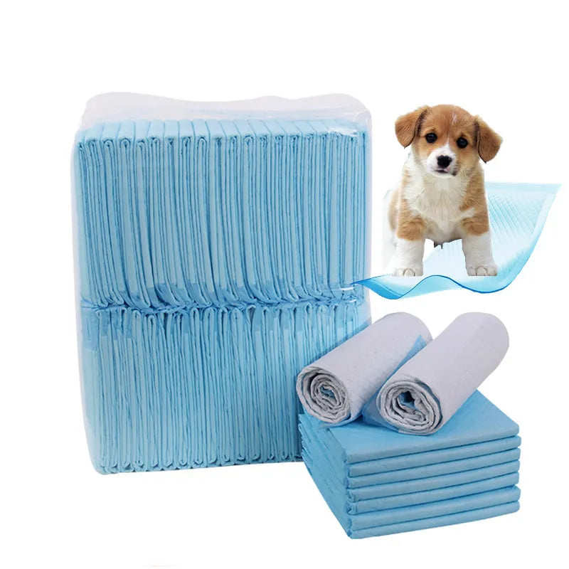 Dog Training Disposable Urine Pads - 10 Pce