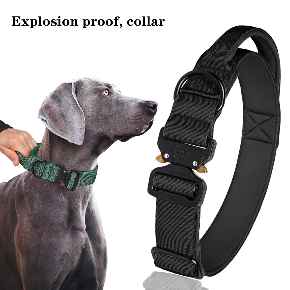 Adjustable Dog Collar