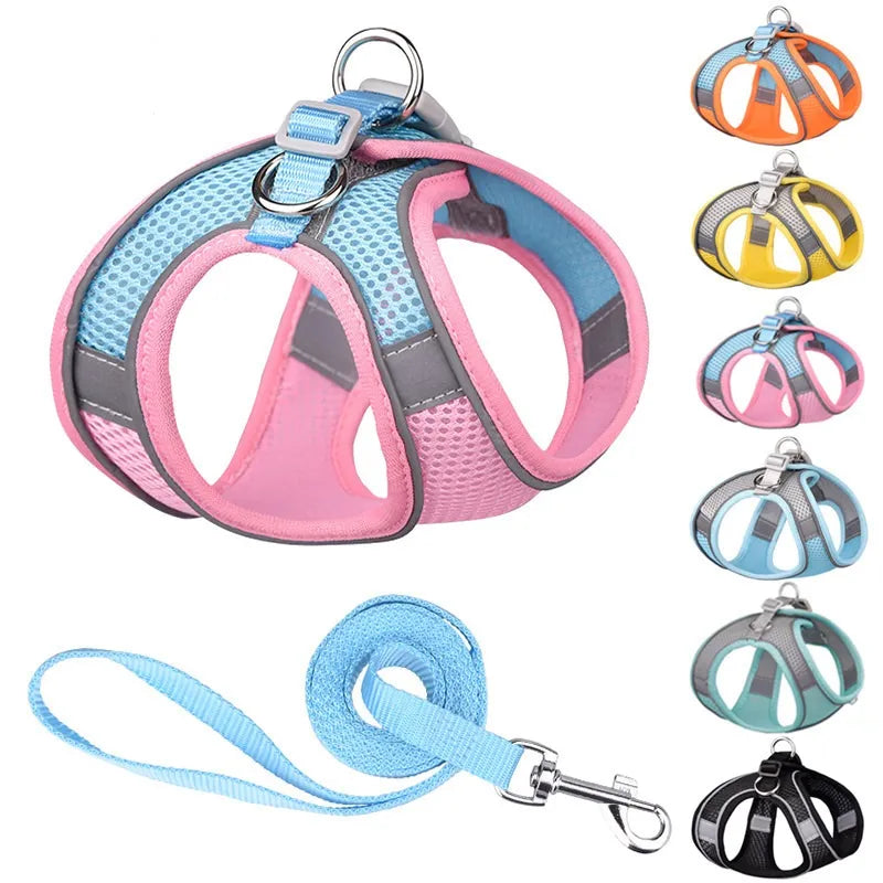 Pet Harness Leash Set for Small Dogs or Cats