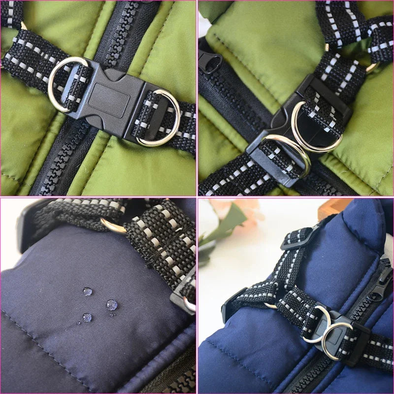 Winter Dog Jacket With Harness