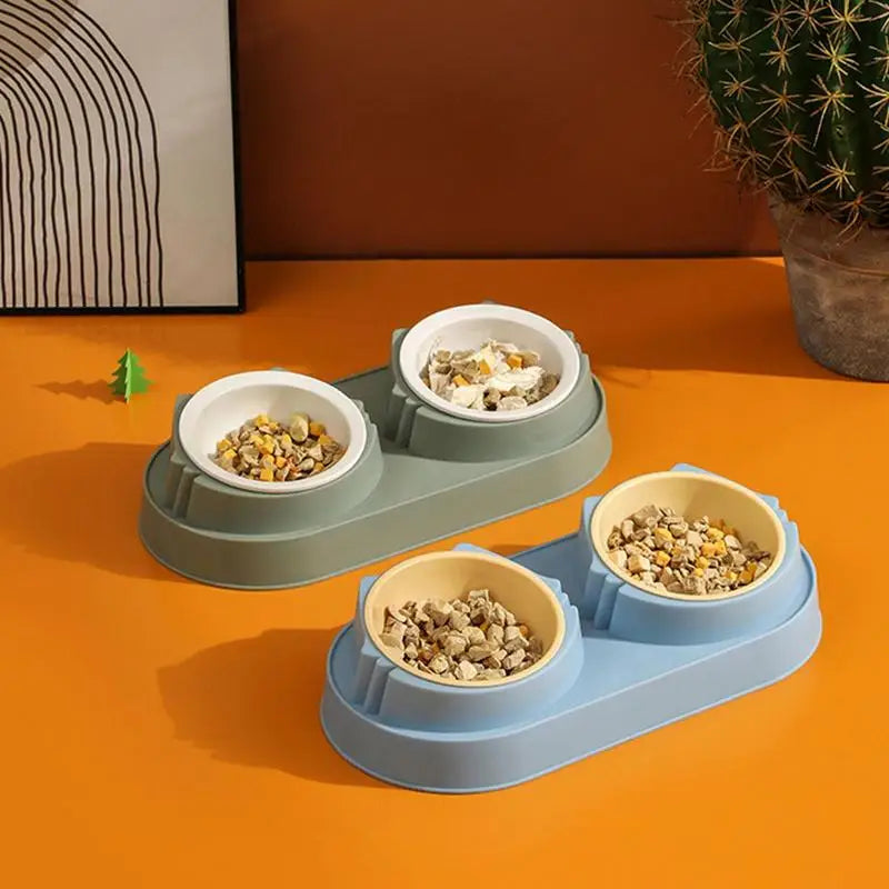 All-in-One Elevated Pet Bowl & Mess-Free Matt