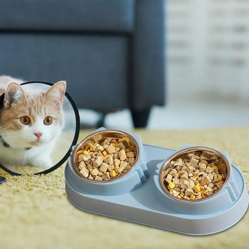 All-in-One Elevated Pet Bowl & Mess-Free Matt