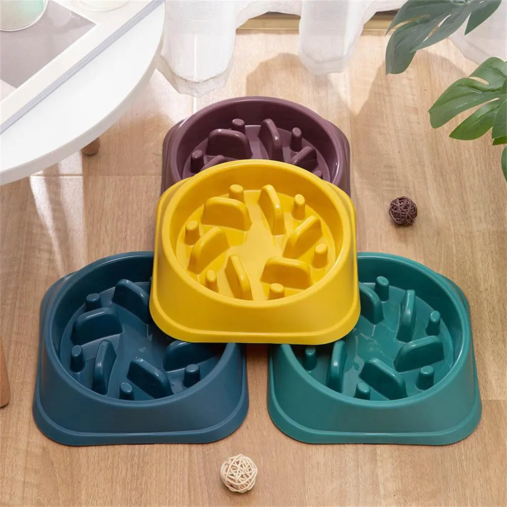 Pet Slow Food Bowl Feeder