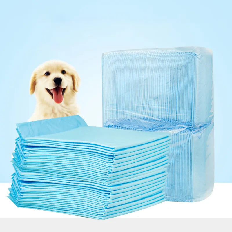 Dog Training Disposable Urine Pads - 10 Pce