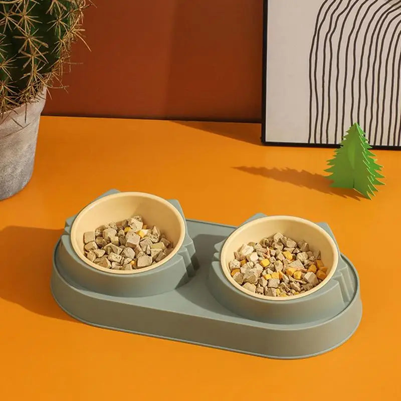 All-in-One Elevated Pet Bowl & Mess-Free Matt