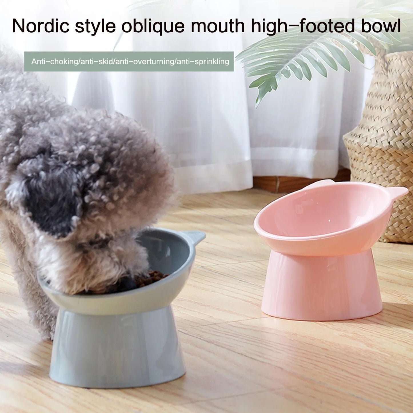 45° Tilted Pet Cat or Dog Bowl