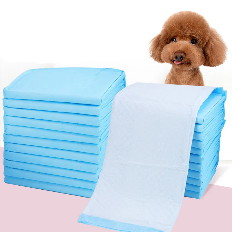 Dog Training Disposable Urine Pads - 10 Pce